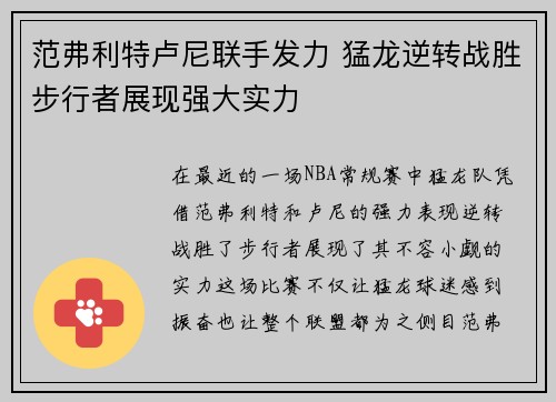 范弗利特卢尼联手发力 猛龙逆转战胜步行者展现强大实力