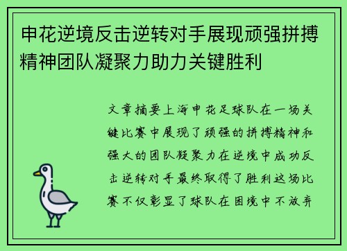 申花逆境反击逆转对手展现顽强拼搏精神团队凝聚力助力关键胜利