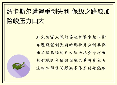 纽卡斯尔遭遇重创失利 保级之路愈加险峻压力山大